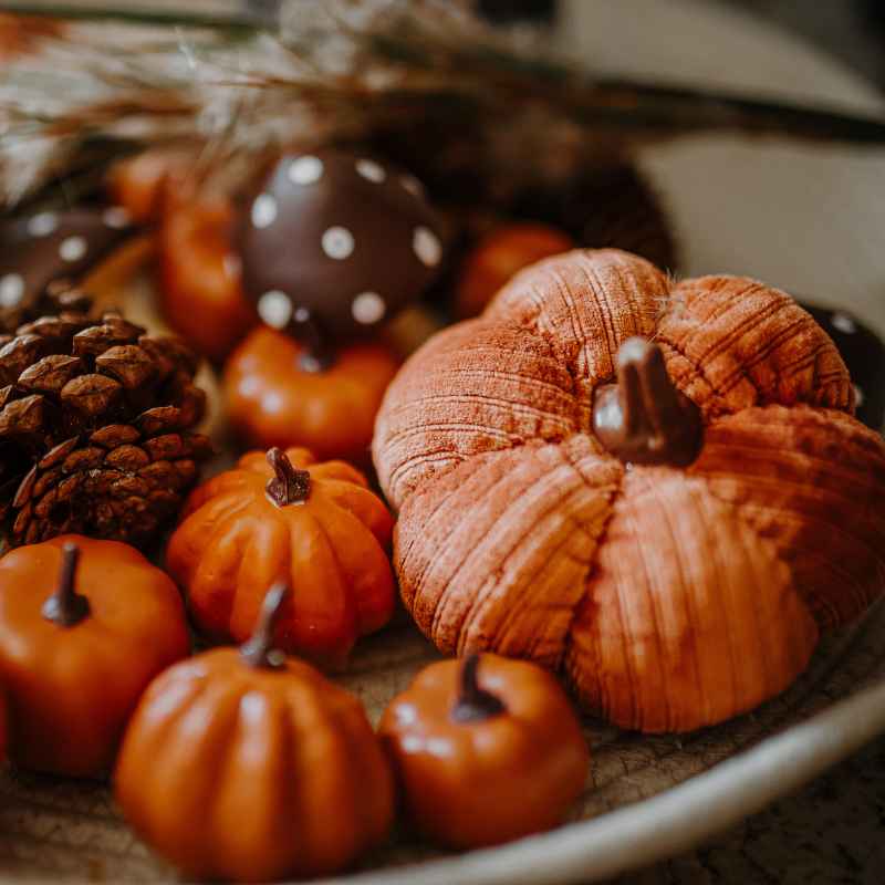 Food Safety Reminders for Halloween